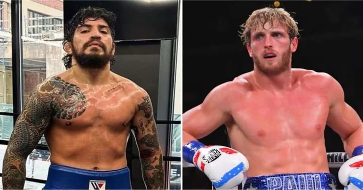 Dillon Danis trolls Logan Paul for his muscular physique: 'You turned down Olympic-style drug testing'