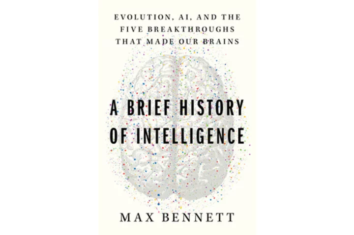 Book Review: ‘A Brief History of Intelligence’ may help humans shape the future of AI