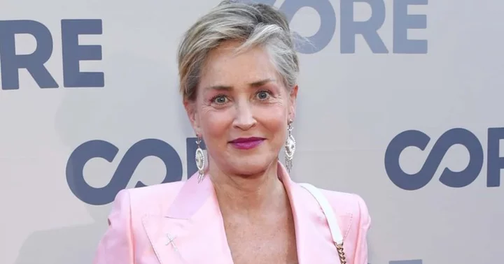 Sharon Stone is JOBLESS! 'Basic Instinct' actress says Hollywood shut her out after near-fatal brain bleed