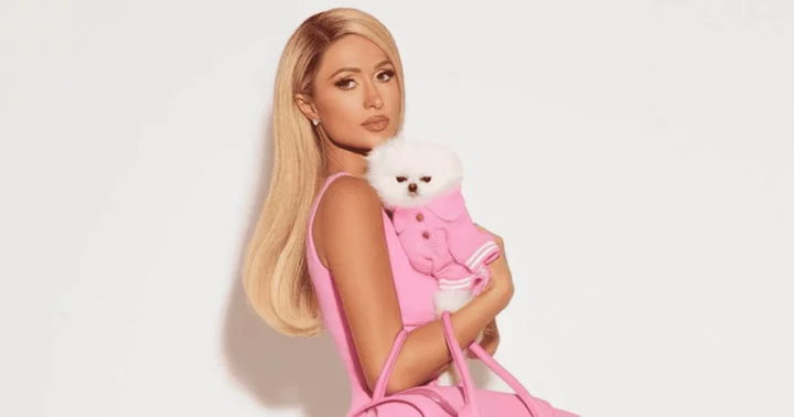 Paris Hilton receives flak as she welcomes home adorable pet chihuahua, Internet says 'please consider adopting'