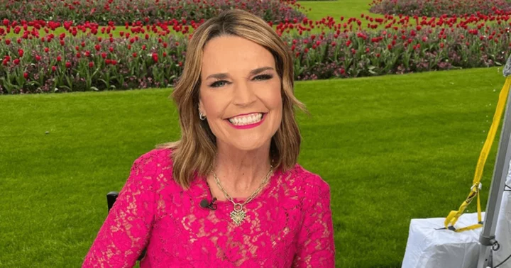 What is Savannah Guthrie's net worth? 'Today' host's journalism career took off after working with a law firm