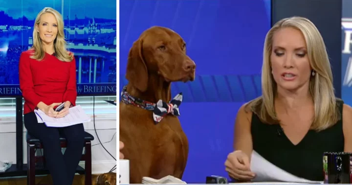 How tall is Dana Perino? Fox News host's beloved pet also known as 'America's Dog' often featured with her on TV
