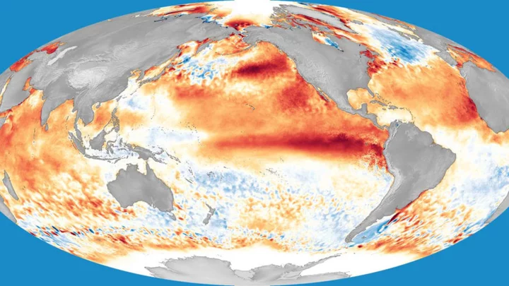 What Is El Niño, and Why Does It Have Such a Big Impact?