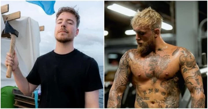 MrBeast's fans once accused Jake Paul of 'copying' YouTube king's video ideas to get views: 'Will watch it when you credit'