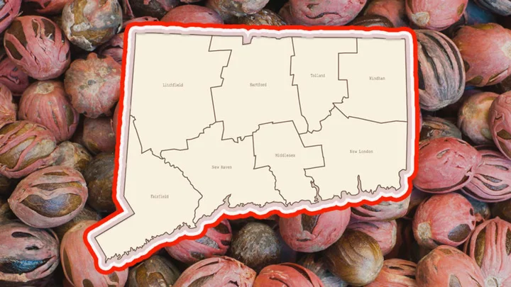 Why is Connecticut Called the “Nutmeg State”?