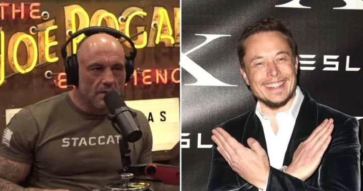 Joe Rogan confesses to feeling 'dumb' each time he talks to Elon Musk: ‘He is different’