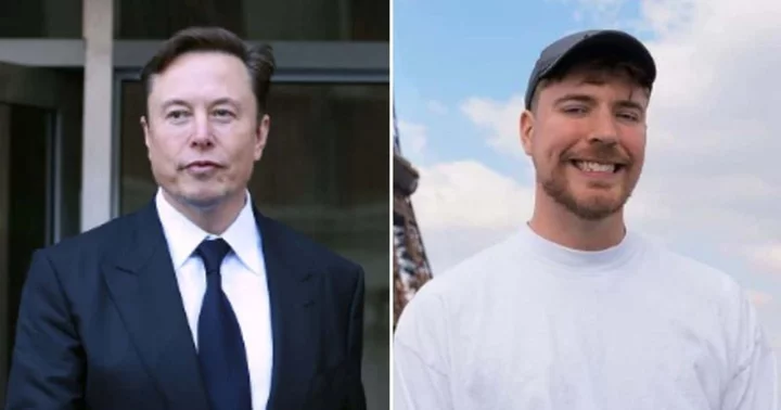 Did Elon Musk challenge MrBeast? YouTuber 'goes to bed' after discussing Twitter changes with CEO, fans ask 'when is this video coming'