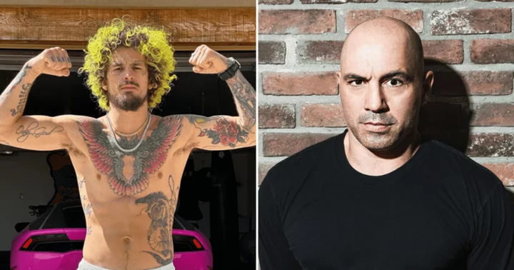 Joe Rogan commends Sean O'Malley's business approach in UFC: 'That's awesome'