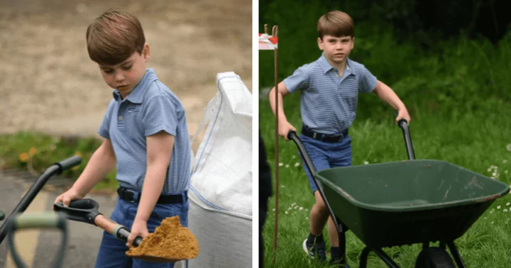 'Such a sweetheart': Royal fans go wild as Prince Louis immerses himself in shoveling at charity event