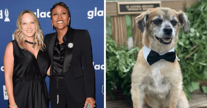 'My mommies are married': GMA's Robin Roberts and Amber Laign announce marriage with adorable snap of pet Lukas